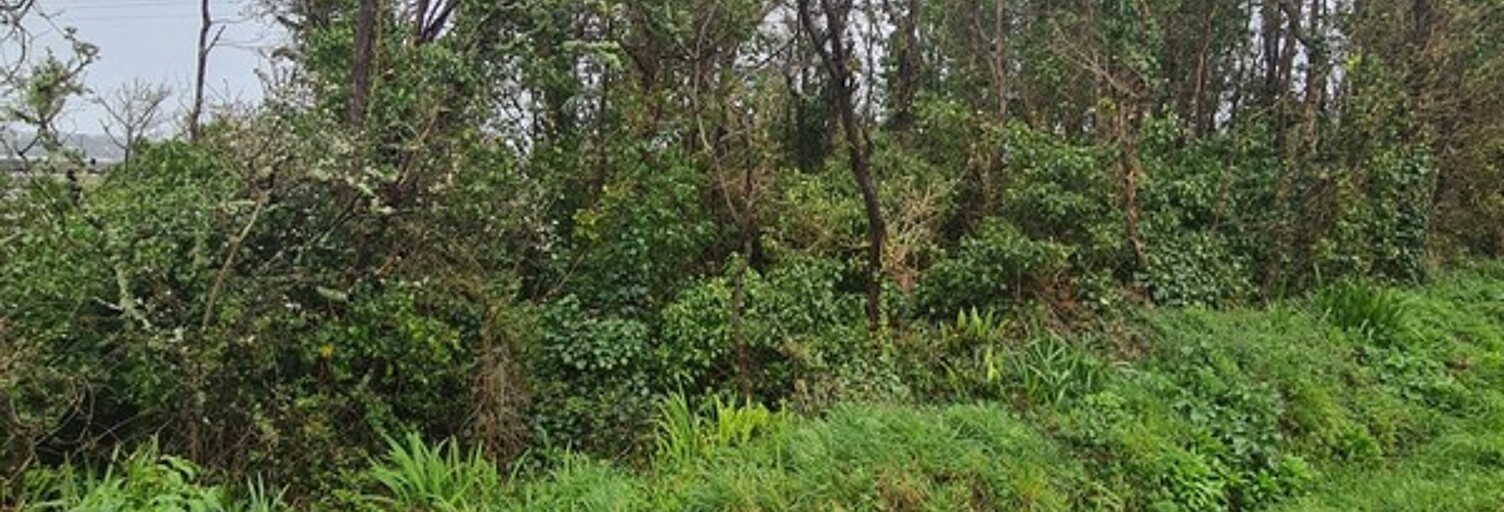 Terrain  1193 m² à vendre à Crozon (29160)