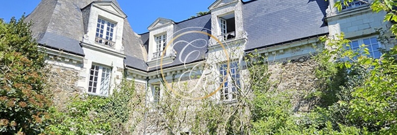 Maison 14 Pièces 538 m² à vendre à Savennières (49170)