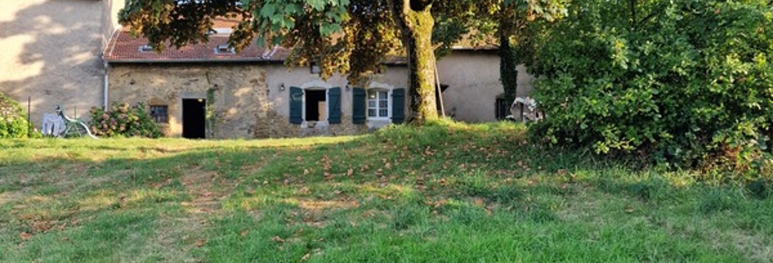 Maison 10 Pièces 250 m² à vendre à Vézelise (54330)