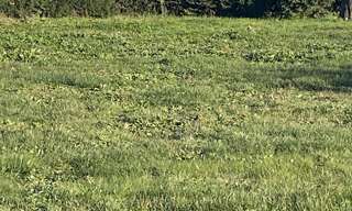 Terrain 600 m² à construire Jouques (13490)