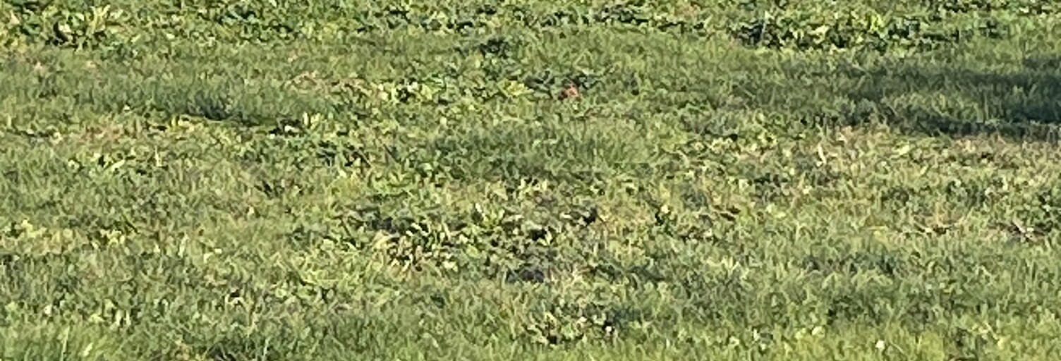 Terrain 600 m² à construire Jouques (13490)