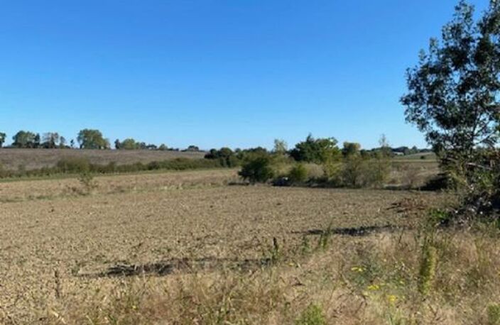 Domaine agricole 18 pièces  347 m2  + 10 Hectares de terre — photo 4