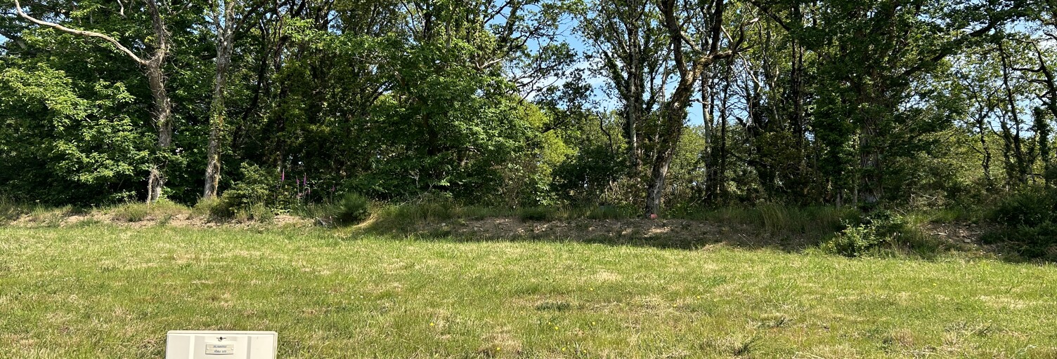 Terrain  423 m² à vendre à Surzur (56450)