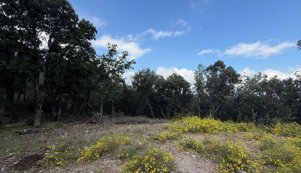 Terrain  à vendre Montbolo 66110