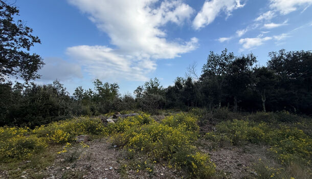 Terrain  à vendre Montbolo 66110