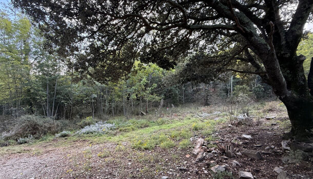 Terrain  à vendre Montbolo 66110