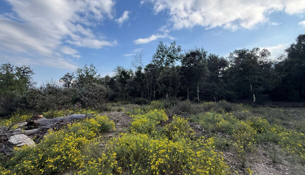 Terrain  à vendre Montbolo 66110