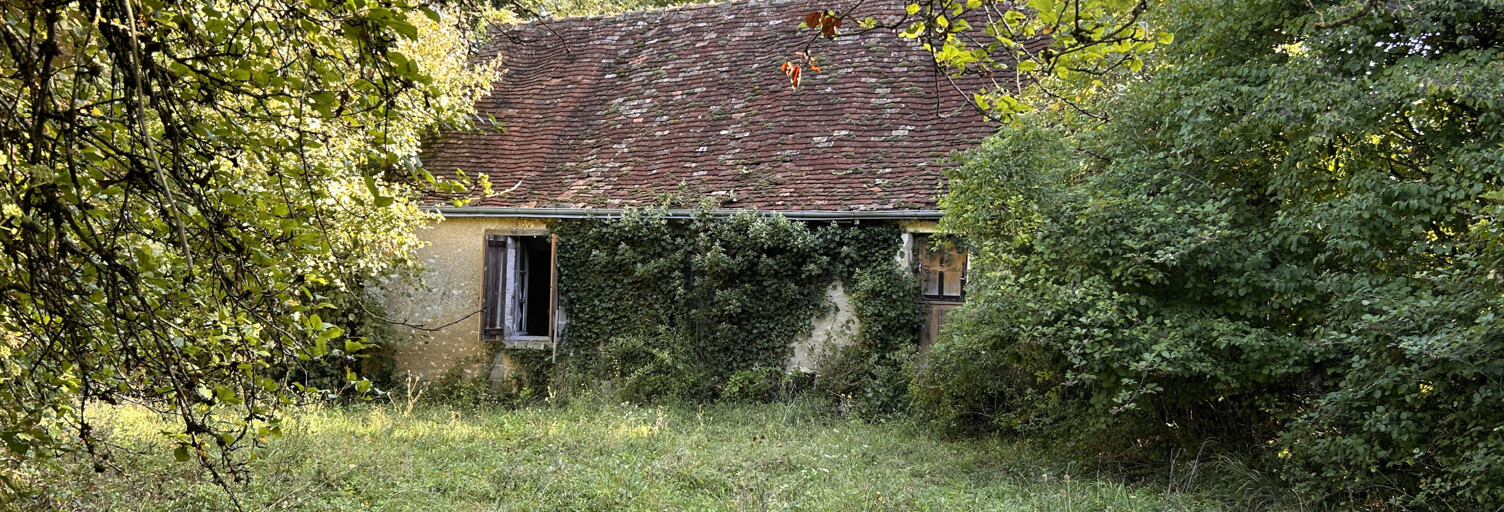 Maison 2 Pièces 60 m² à vendre à Preuilly-la-Ville (36220)