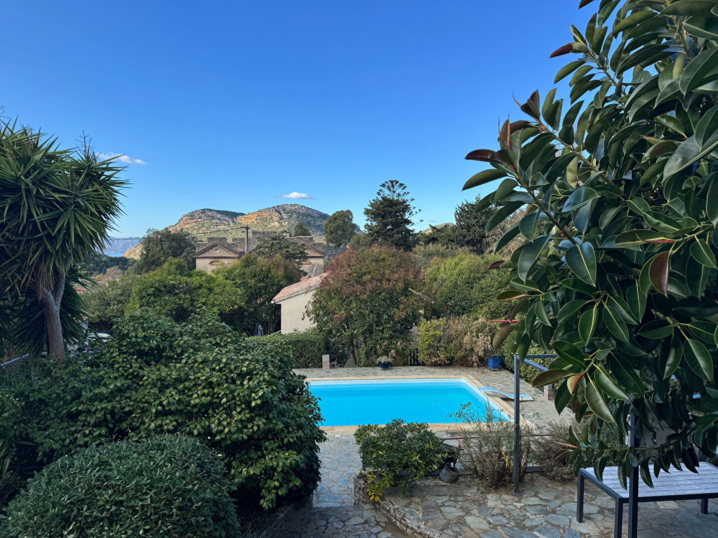 Villa / Maison  T5 à vendre Patrimonio 20253