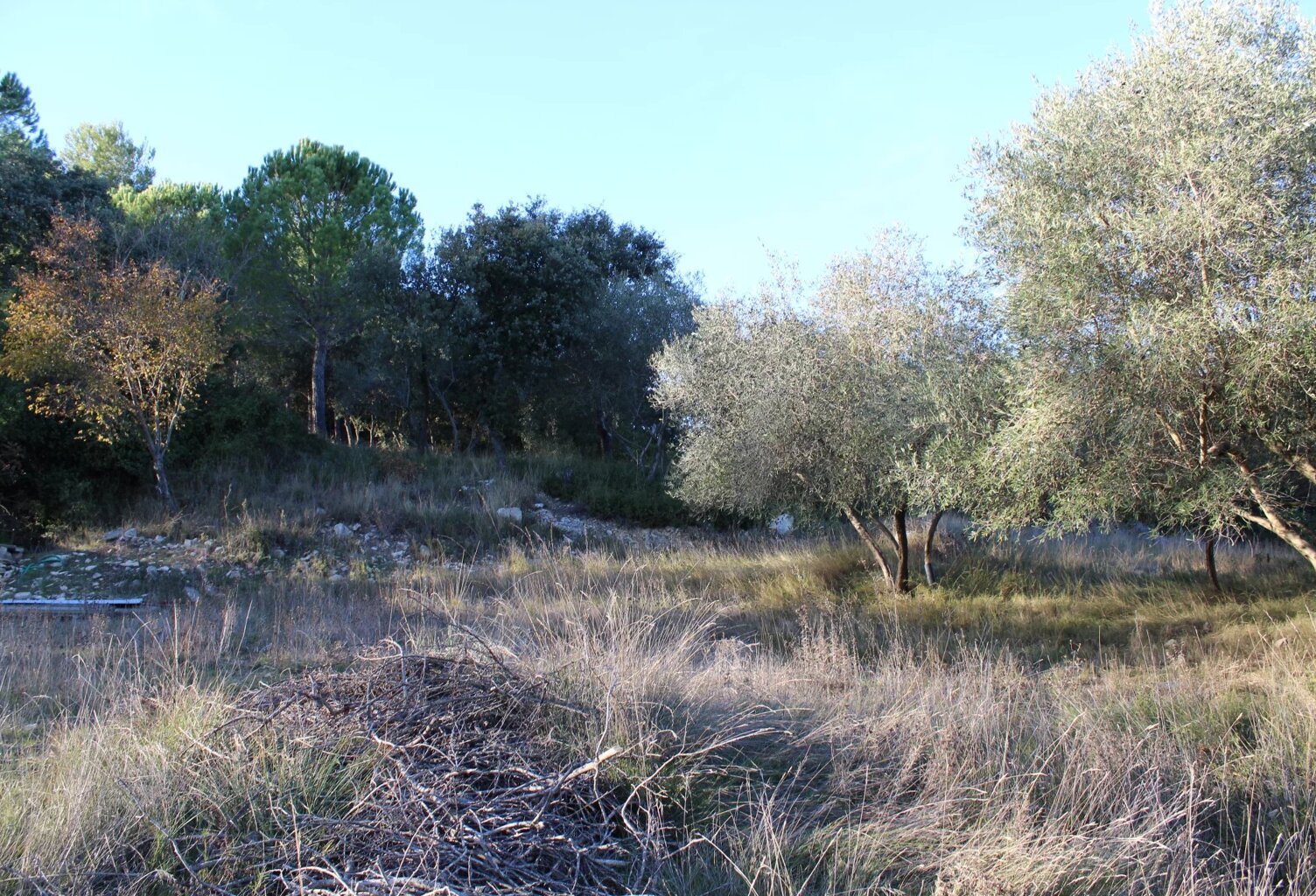 EXCLU UCHAUD - Vente Terrain constructible — photo 1