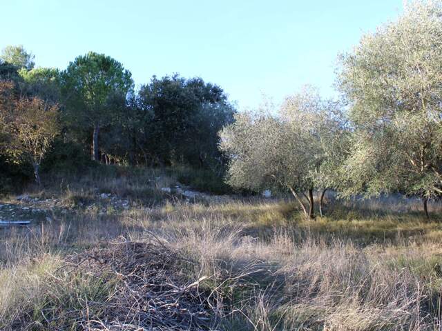 EXCLU UCHAUD - Vente Terrain constructible — photo du bien