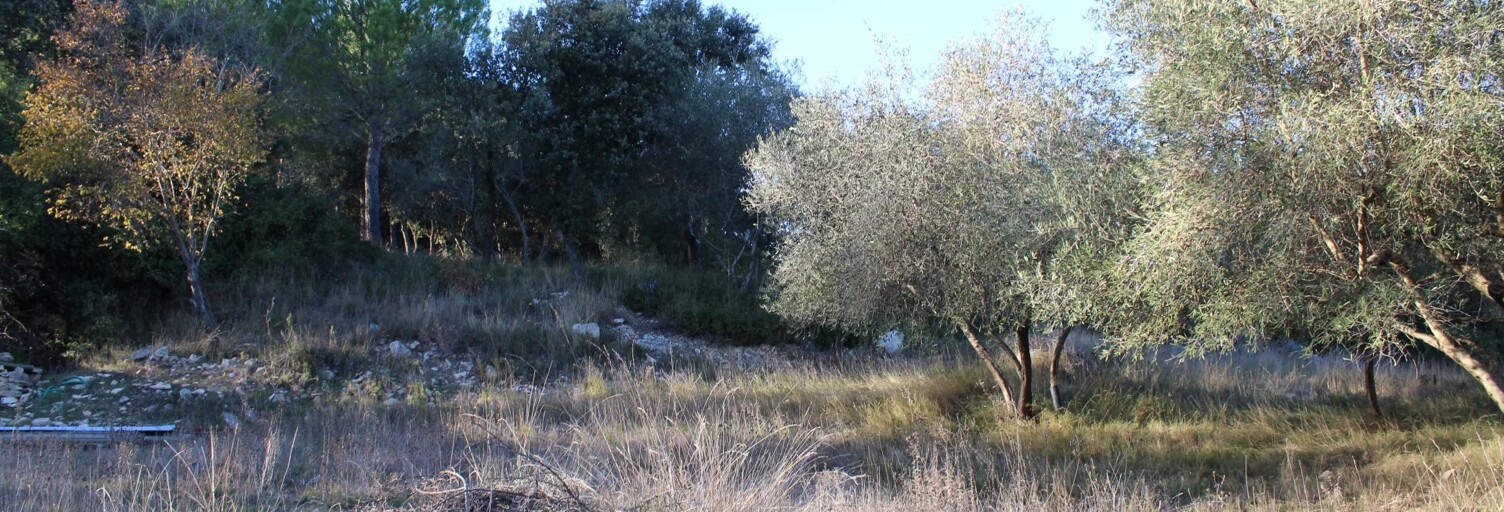 Terrain  2500 m² à vendre à Uchaud (30620)