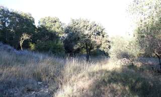 Terrain  2500 m² à vendre à Uchaud (30620)