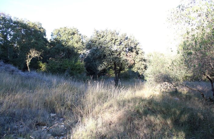 EXCLU UCHAUD - Vente Terrain constructible — photo 3