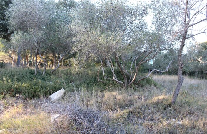 EXCLU UCHAUD - Vente Terrain constructible — photo 4