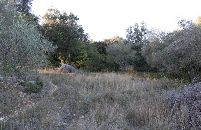 EXCLU UCHAUD - Vente Terrain constructible — photo 5