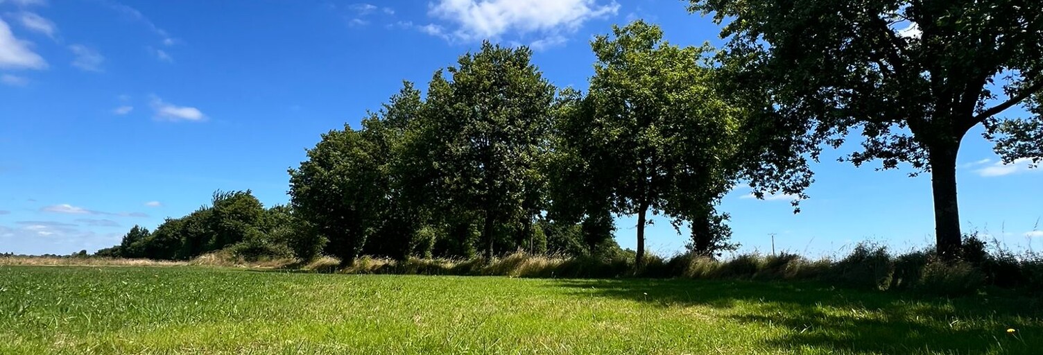 Terrain  975 m² à vendre à Rocheservière (85620)