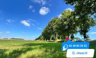 Terrain  955 m² à vendre à Vieillevigne (44116)