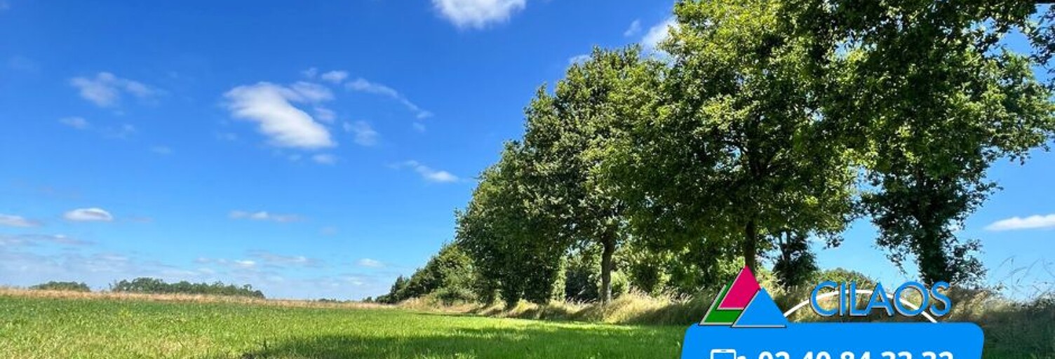 Terrain  955 m² à vendre à Vieillevigne (44116)