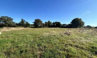 Terrain  626 m² à vendre à Saint-Christophe-du-Ligneron (85670)