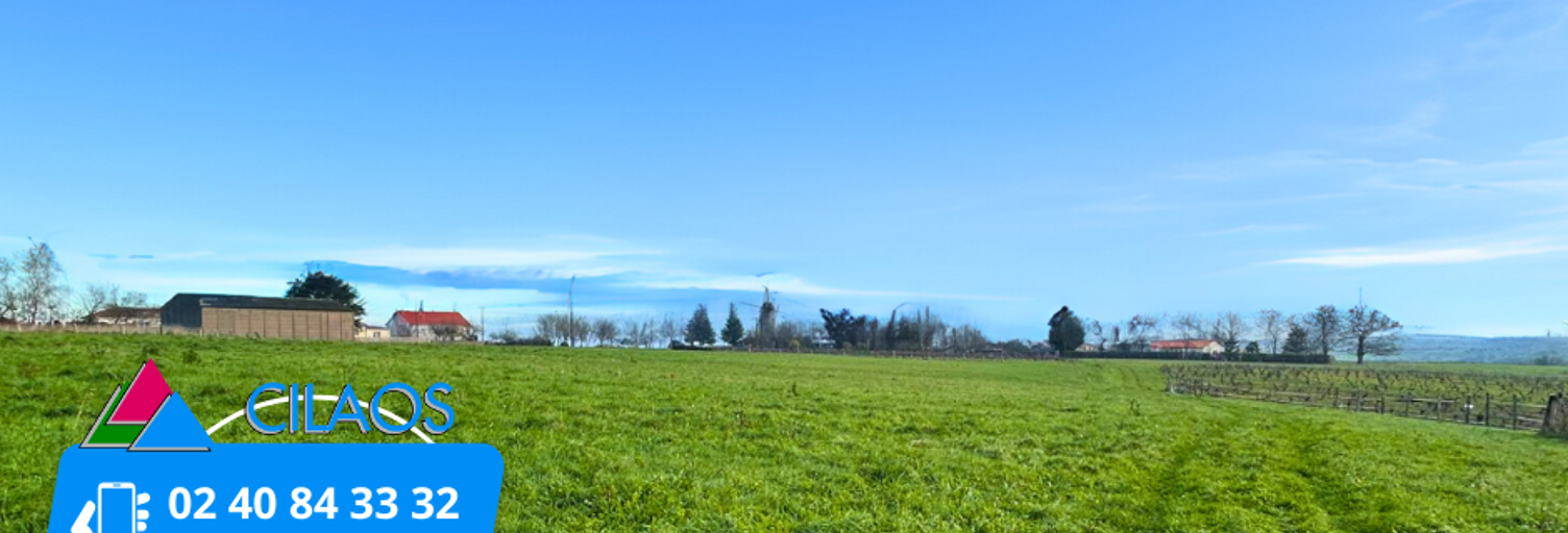 Terrain  530 m² à vendre à Ancenis-Saint-Géréon (44150)