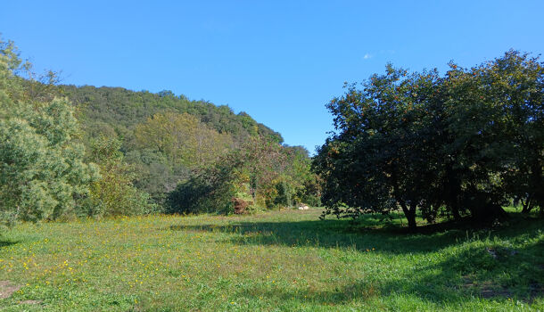 Villa / Maison 11 pièces  à vendre Reynès 66400