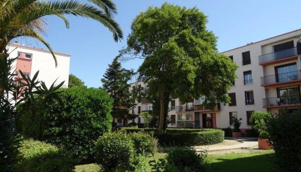 Appartement 3 pièces  à louer Perpignan 66000