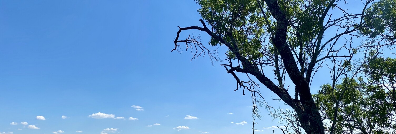 Maison 12 Pièces 274 m² à vendre à Lavardac (47230)