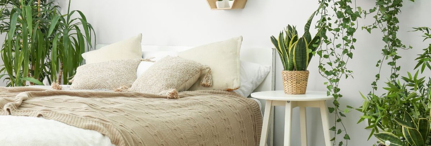 Appartement 3 Pièces 64 m² à vendre à Vichy (03200)