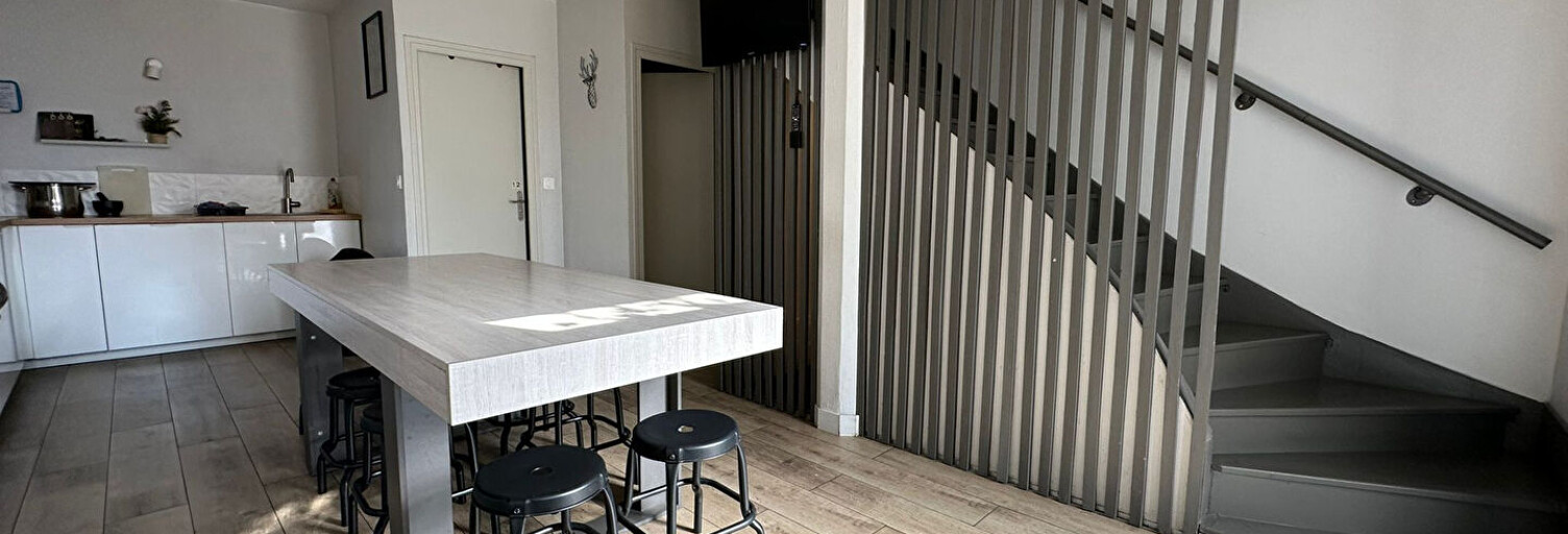 Appartement 9 Pièces 156 m² à louer à Villeurbanne (69100)