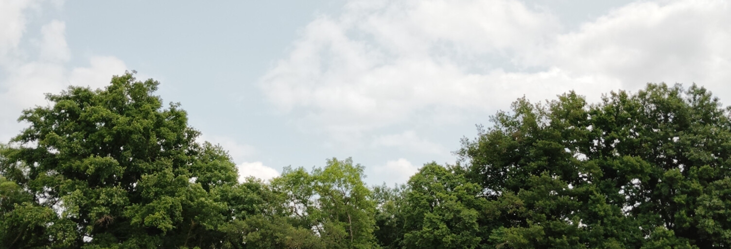 Terrain  170000 m² à vendre à Gien (45500)