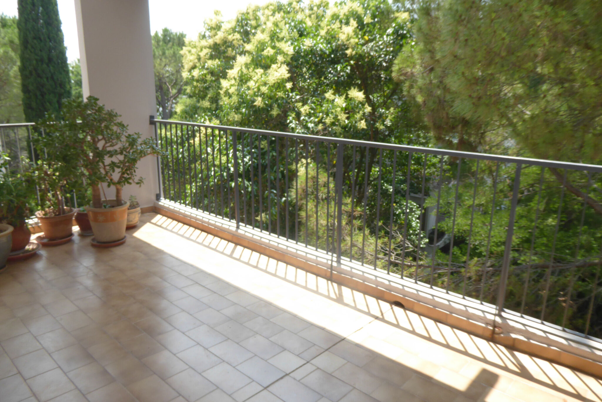 Appartement  T4 à louer Montpellier 34090