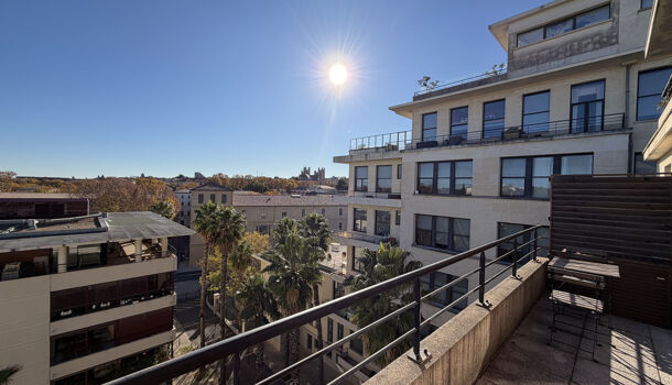 Appartement 2 pièces  à louer Montpellier 34090