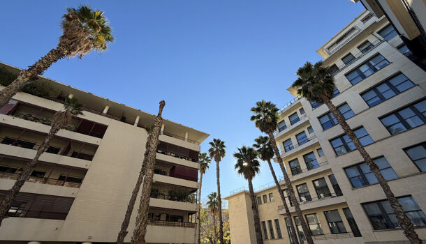 Appartement 2 pièces  à louer Montpellier 34090