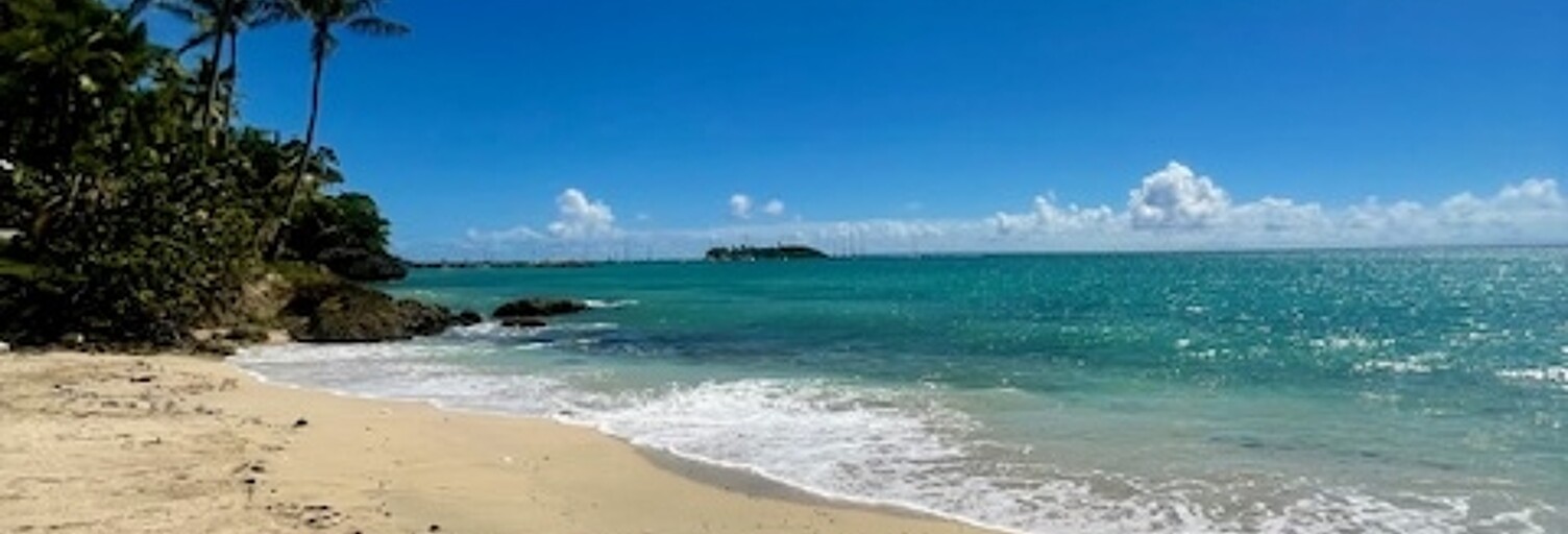 Appartement 1 Pièce 42 m² à vendre à Le Gosier (97190)