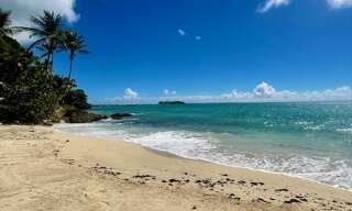 Appartement 1 Pièce 42 m² à vendre à Le Gosier (97190)