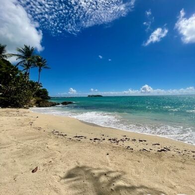 Appartement 1 pièces 210000 €