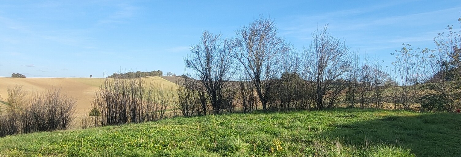 Terrain  1110 m² à vendre à Montgaillard (81630)