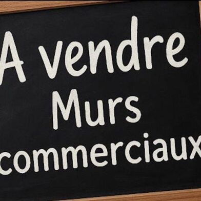 Commerce  895000 €