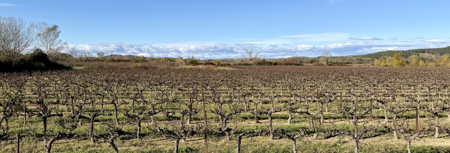 Terrain  13528 m² à vendre à Laudun-l'Ardoise (30290)