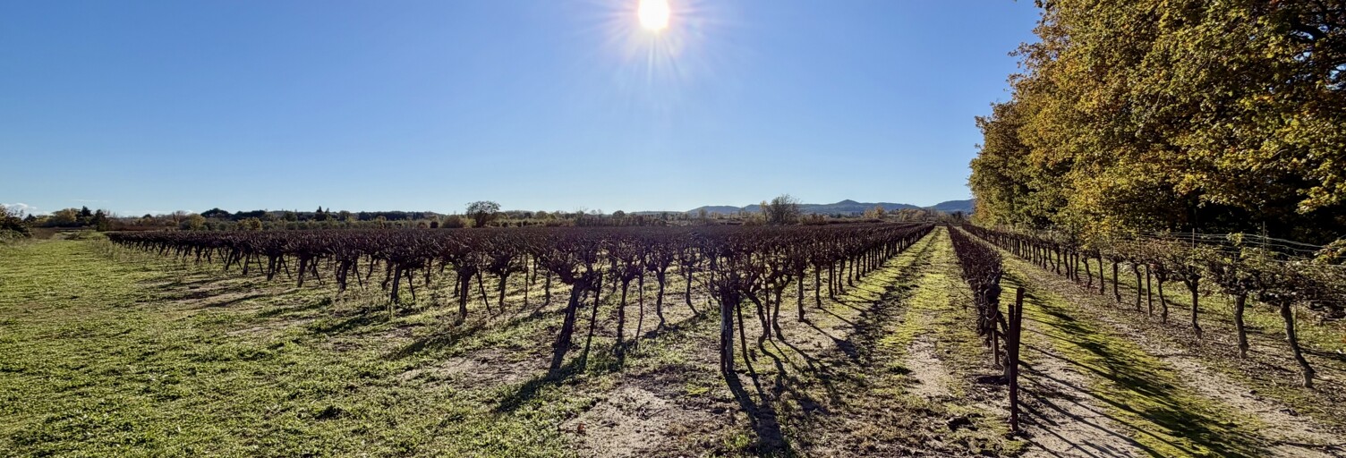 Terrain  9763 m² à vendre à Laudun-l'Ardoise (30290)