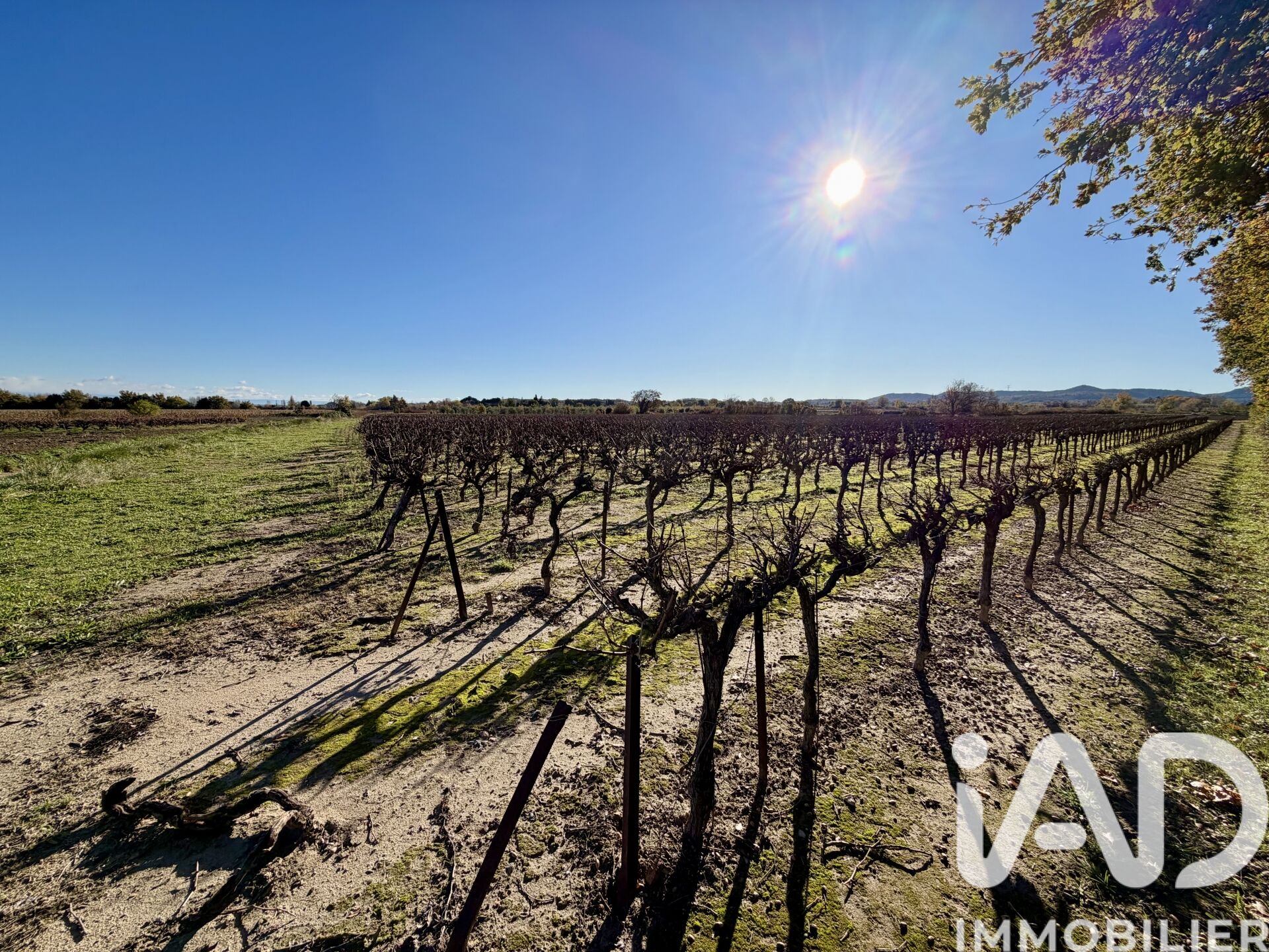 Laudun-L-Ardoise - 9763m²