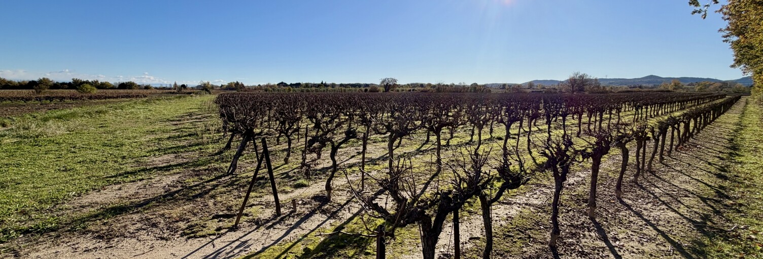 Terrain  9763 m² à vendre à Laudun-l'Ardoise (30290)