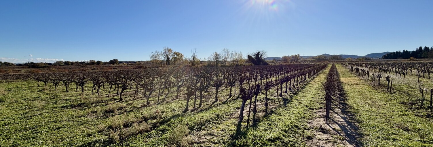 Terrain  9227 m² à vendre à Laudun-l'Ardoise (30290)