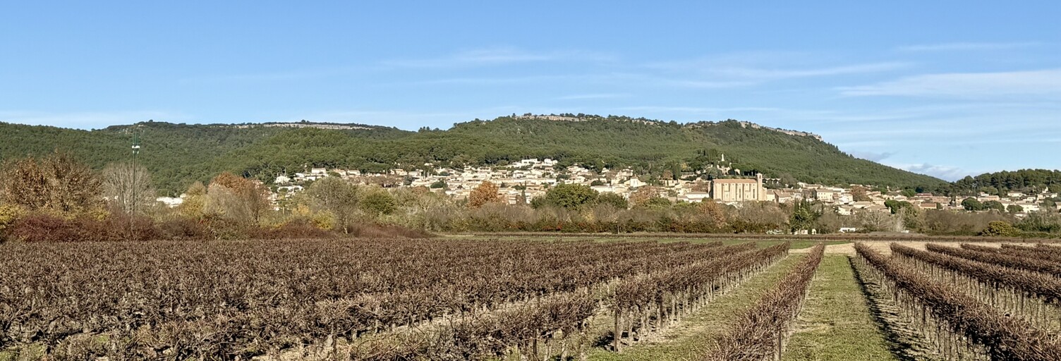 Terrain  9227 m² à vendre à Laudun-l'Ardoise (30290)