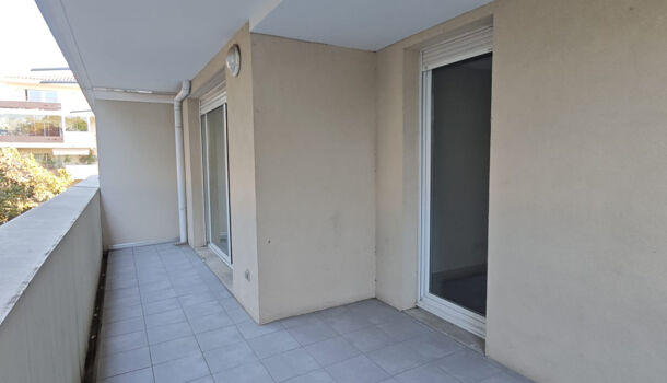 Appartement 2 pièces  à louer Marseille 8eme 13008