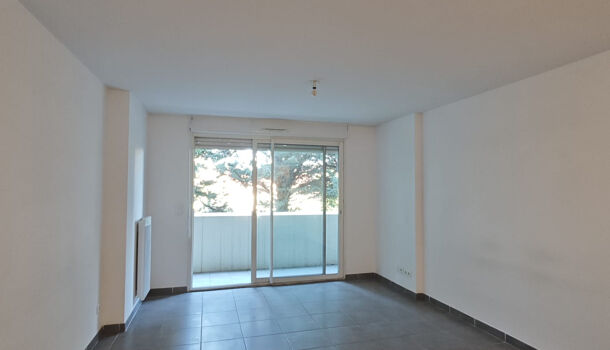 Appartement 2 pièces  à louer Marseille 8eme 13008