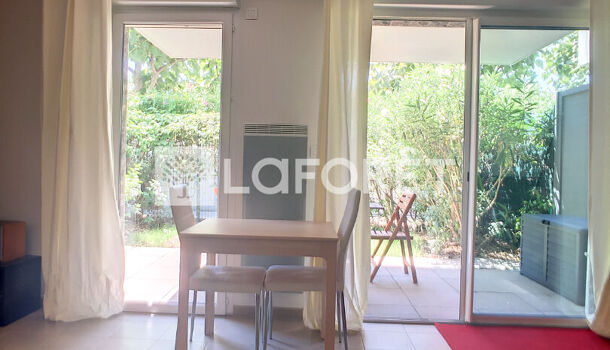 Appartement 1 pièces  à louer Marseille 9eme 13009