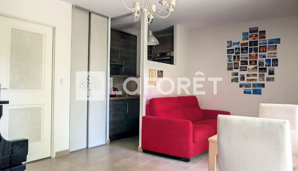 Appartement 1 pièces  à louer Marseille 9eme 13009