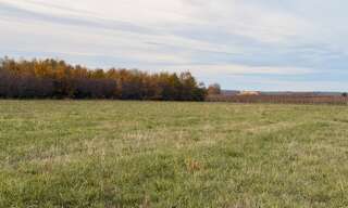 Terrain  950 m² à vendre à Saint-Laurent-des-Vignes (24100)